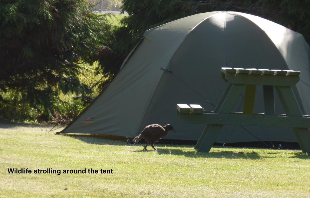 Carters Beach Top 10 Holiday Park Westport Bagian luar foto