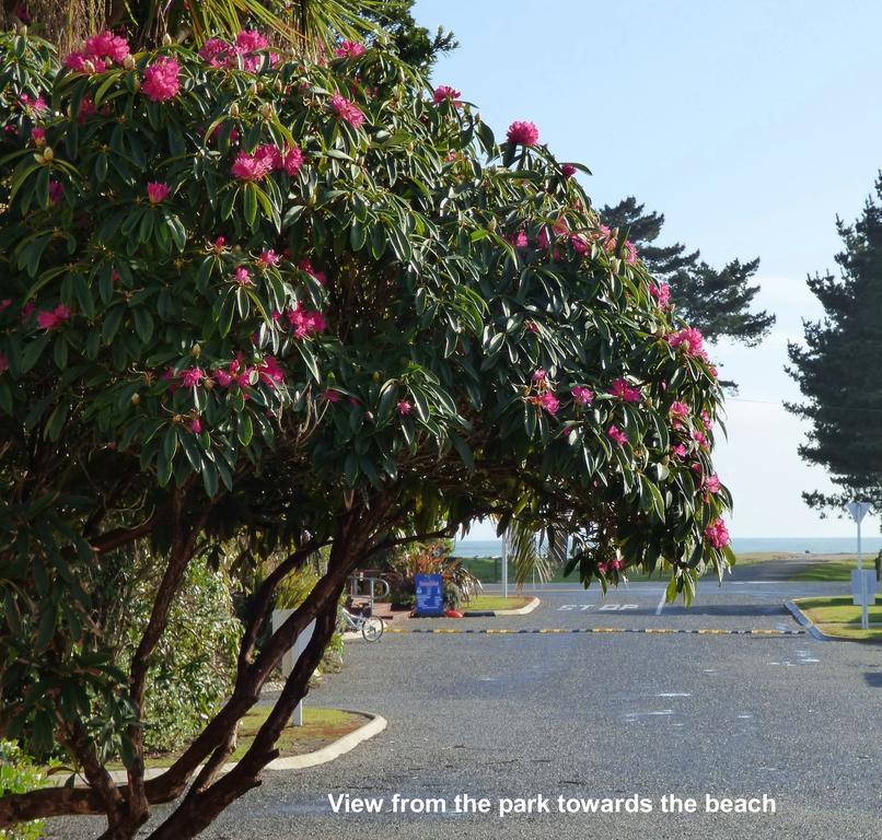 Carters Beach Top 10 Holiday Park Westport Bagian luar foto